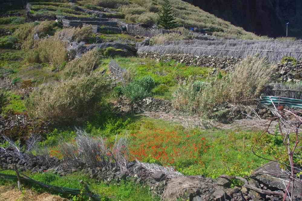 Quebrada Nova, le 8 mai 2022