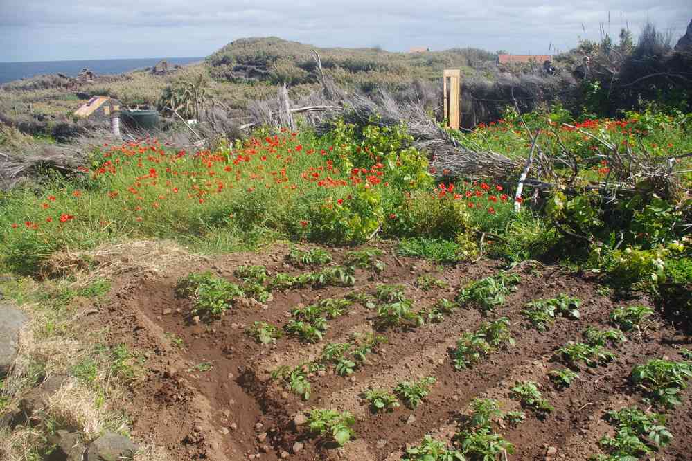 Quebrada Nova, le 8 mai 2022