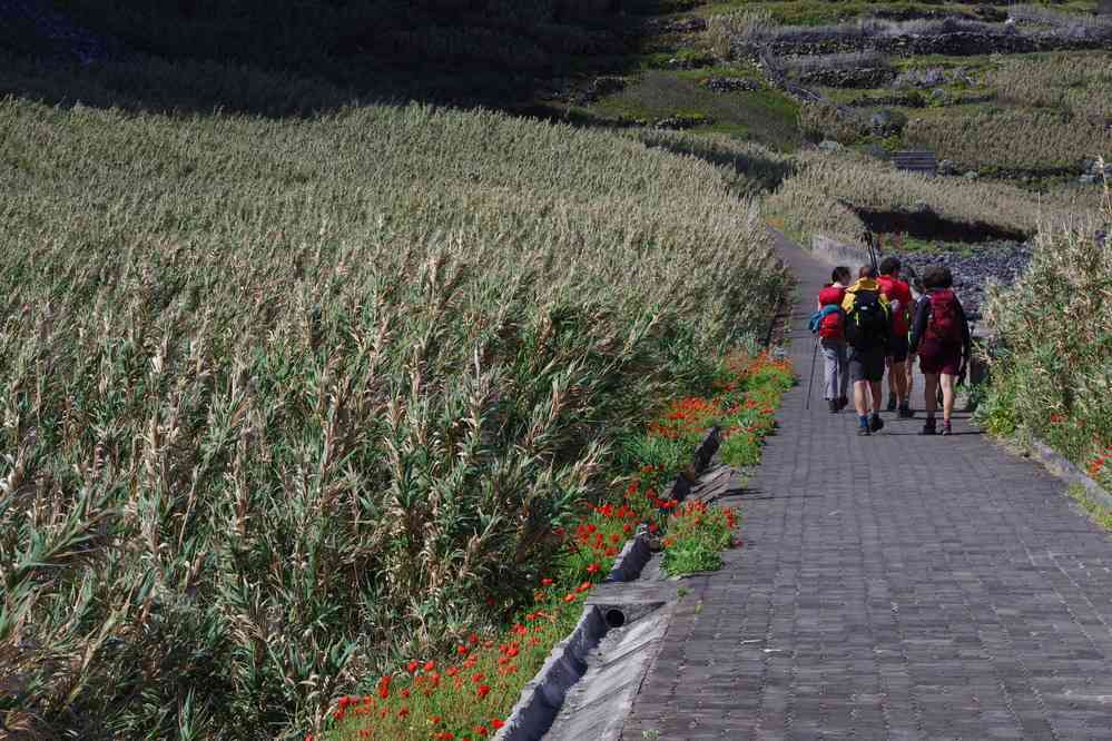 Quebrada Nova, le 8 mai 2022