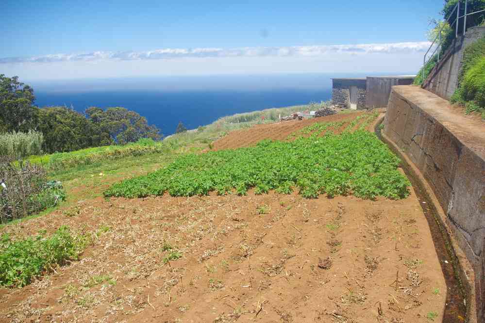 Marche le long d’une levada à Pombais, le 8 mai 2022