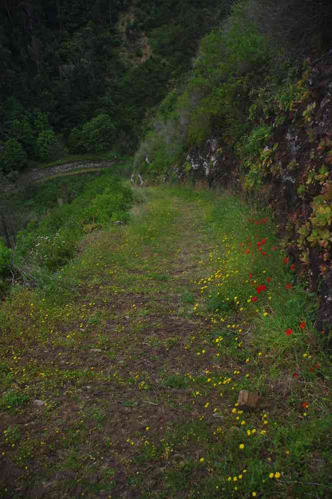 Descente vers Porto Moniz, le 8 mai 2022