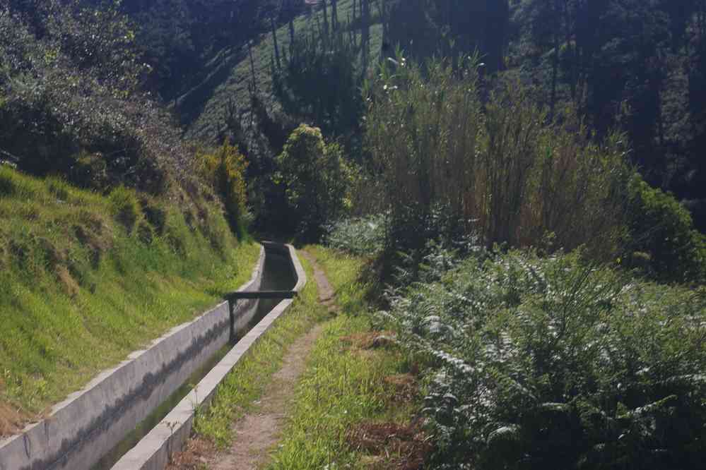 Levada Nova, le 9 mai 2022