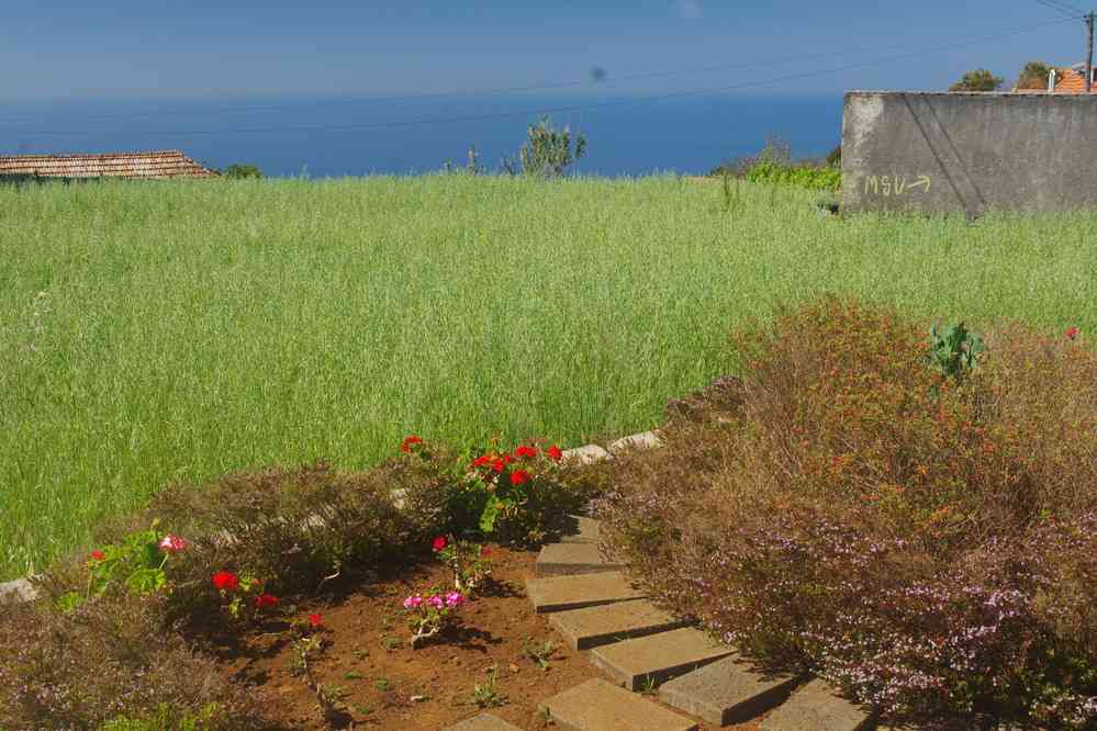 Randonnée le long de la levada Nova, le 9 mai 2022
