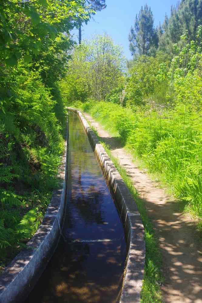 Randonnée le long de la levada Nova, le 9 mai 2022