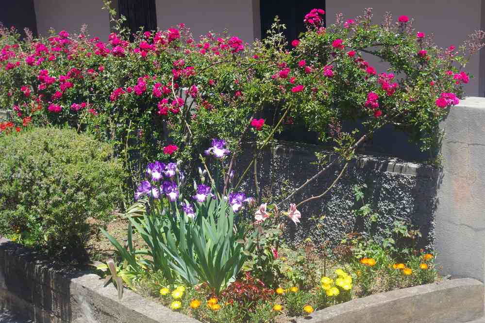 Randonnée le long de la levada Nova, le 9 mai 2022