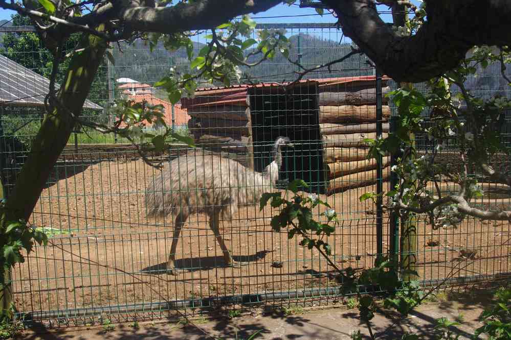 Ferme touristique dans le village de Prazeres, le 9 mai 2022