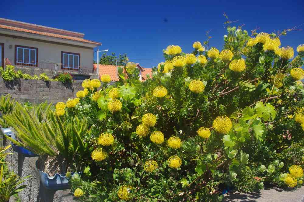 Village de Prazeres, le 9 mai 2022