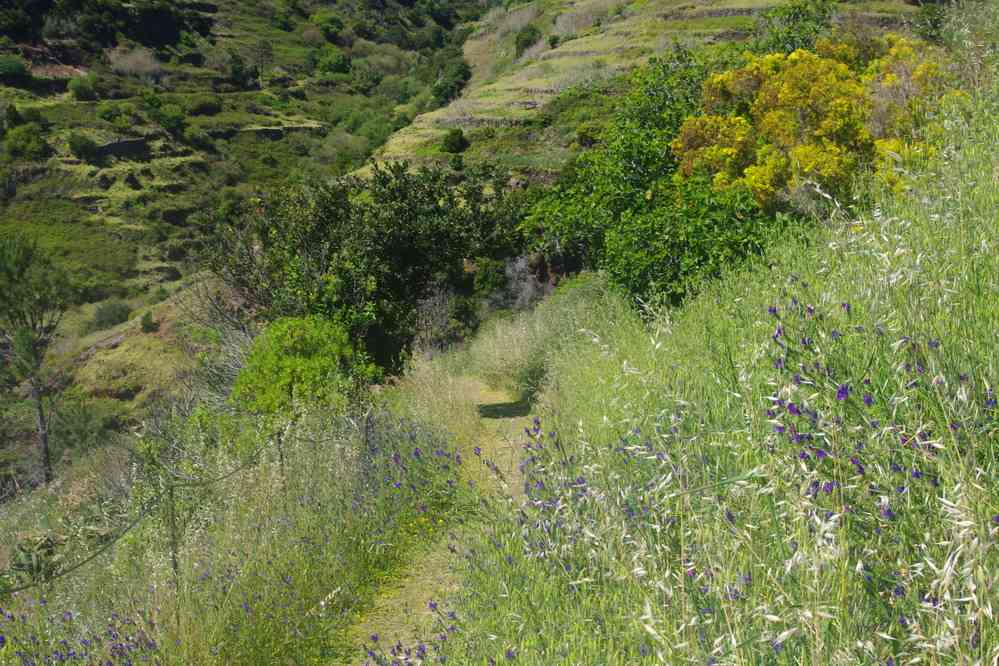 Descente vers Paúl do Mar, le 9 mai 2022
