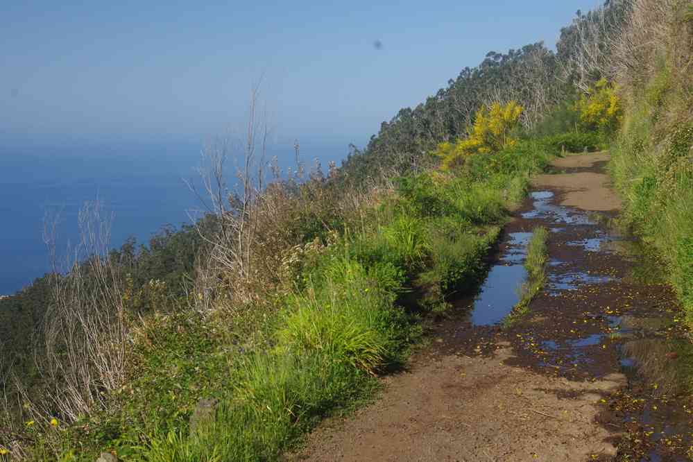 Début de balade au-dessus de Calheta vers 1000 m d’altitude, le 10 mai 2022