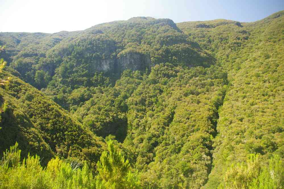 Levada des Vingt-Cinq Fontaines, le 10 mai 2022