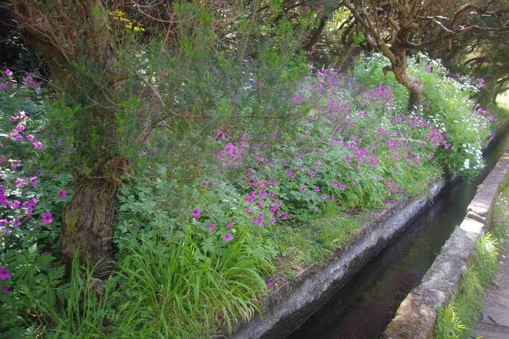 Levada des Vingt-Cinq Fontaines, le 10 mai 2022