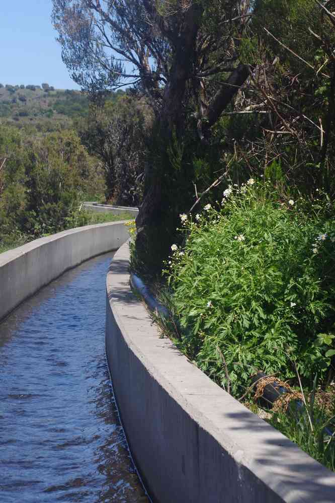 Levada do Alecrim, le 10 mai 2022