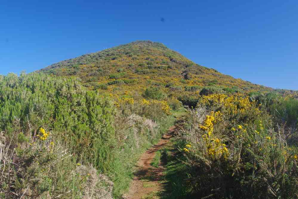 Ascension du pico Ruivo do Paul, le 11 mai 2022