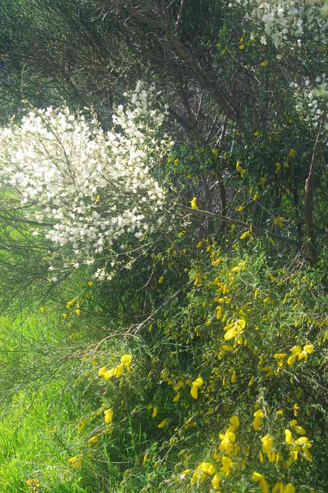 Randonnée sur le plateau de Paul da Serra, le 11 mai 2022
