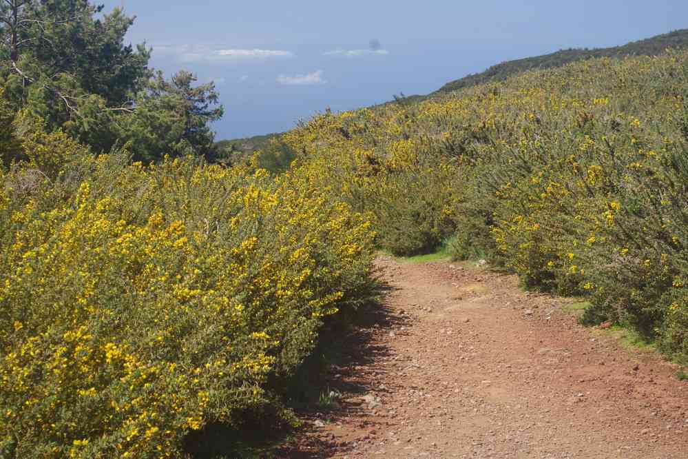 Montée vers le sommet Bica da Cána, le 11 mai 2022