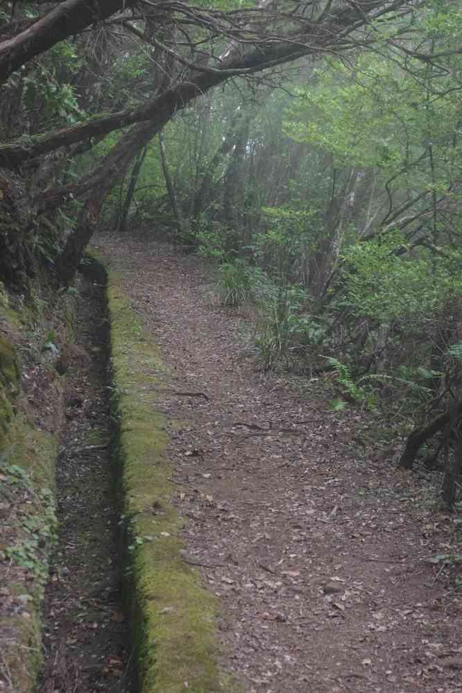 Passage le long d’une levada abandonnée, le 11 mai 2022