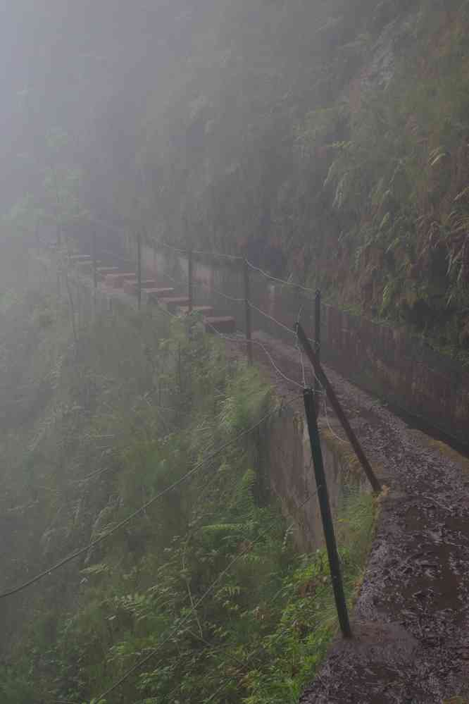 Le long de la levada del Norte, le 11 mai 2022