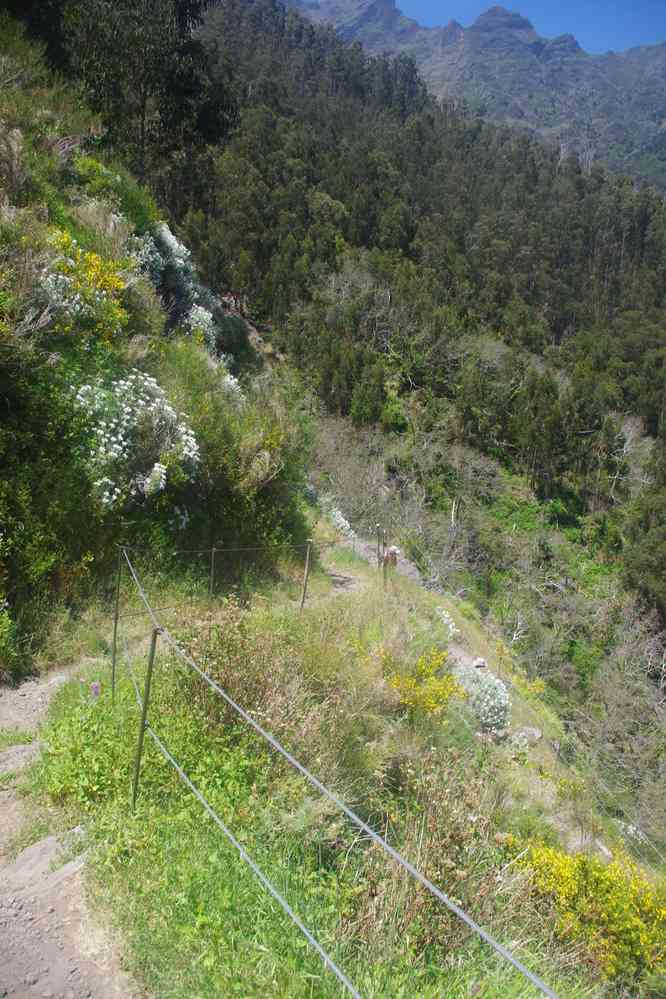 Descente vers Curral das Freiras, le 12 mai 2022