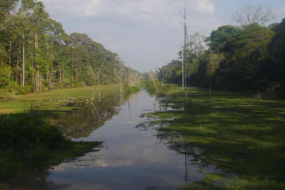 Angkor (អង្គរ), le baray (បារាយណ៍) du temple de Preah Khan (ប្រាសាទព្រះខ័ន), le 23 janvier 2023
