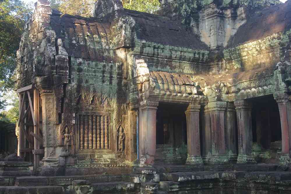 Angkor (អង្គរ), temple de Ta Prohm (ប្រាសាទ តាព្រហ្ម), le 23 janvier 2023