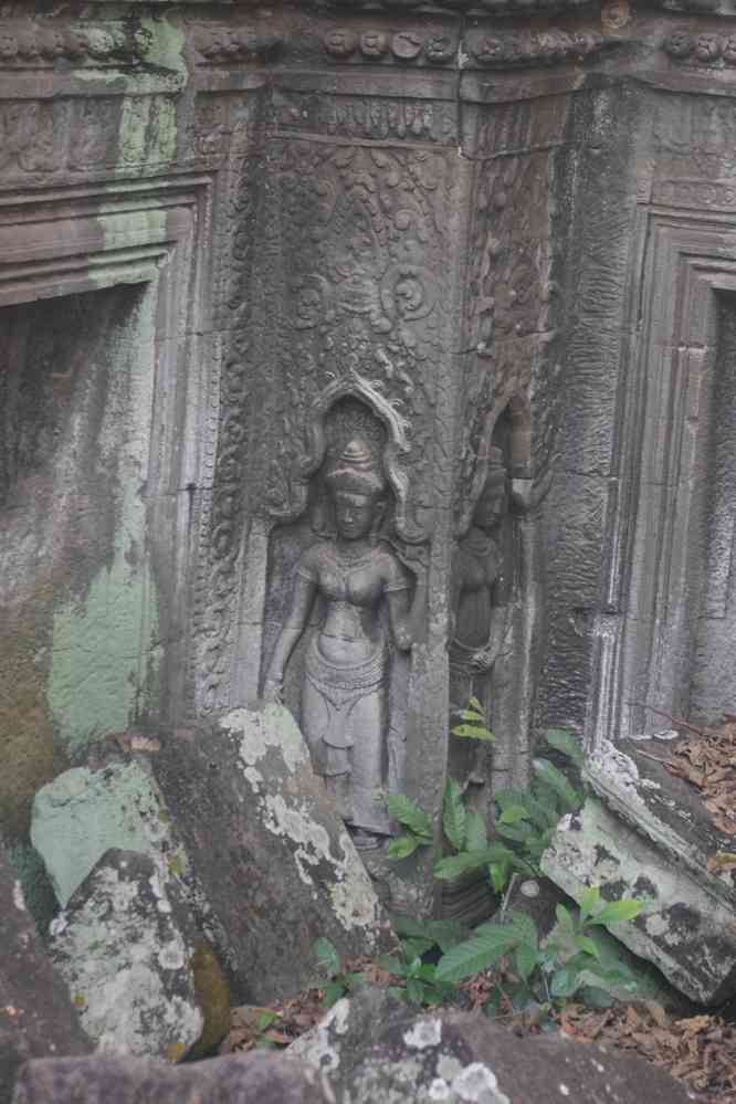 Angkor (អង្គរ), temple de Ta Prohm (ប្រាសាទ តាព្រហ្ម), le 23 janvier 2023