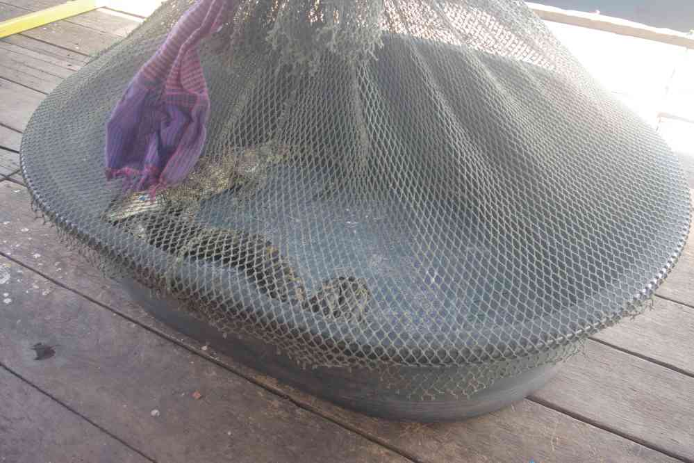 Navigation sur le lac Tonlé Sap (បឹងទន្លេសាប). Halte à la ferme des crocodiles, le 24 janvier 2023