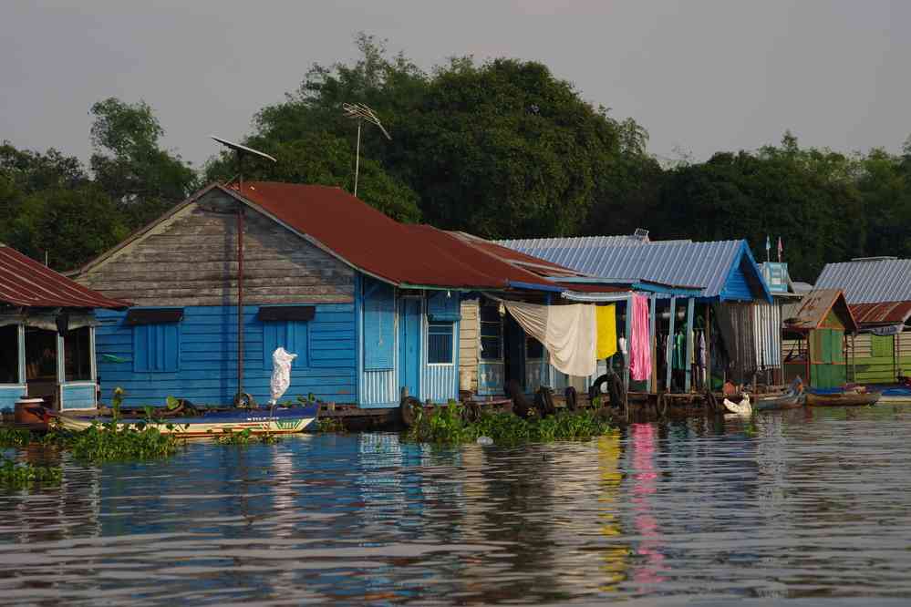 Navigation sur le lac Tonlé Sap (បឹងទន្លេសាប)  (remontée de la rivière Sangker (ស្ទឹងសង្កែ)),  le 24 janvier 2023