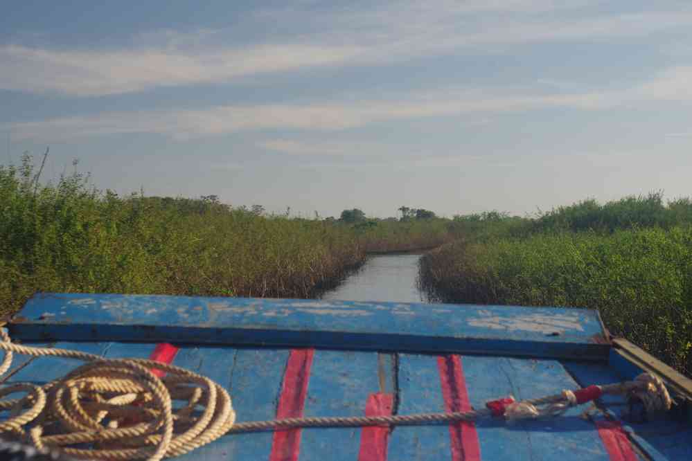 Descente de la rivière Sangker (ស្ទឹងសង្កែ). Le bateau emprunte un étroit « raccourci », le 25 janvier 2023