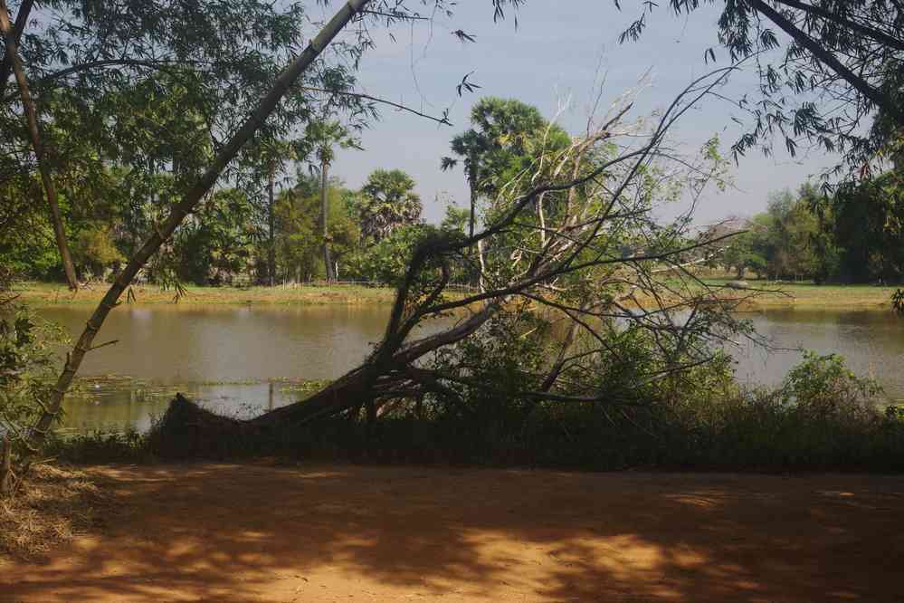 Près de notre gîte sur la commune de Roluos (រលួស), le 25 janvier 2023
