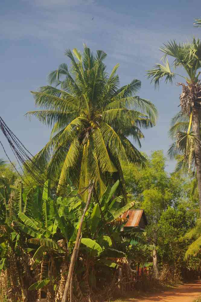 Balade vespérale autour de notre gîte, le 25 janvier 2023