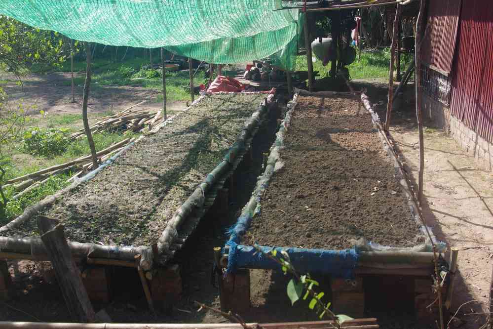 Balade vespérale autour de notre gîte, le 25 janvier 2023