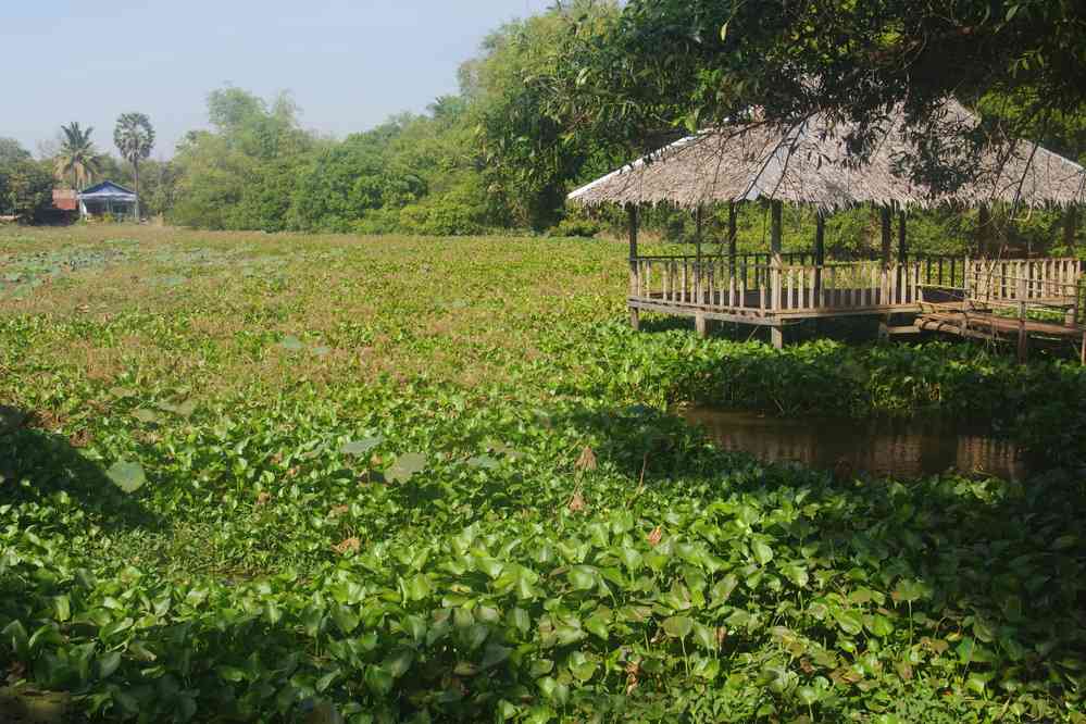 Balade vespérale autour de notre gîte, le 25 janvier 2023