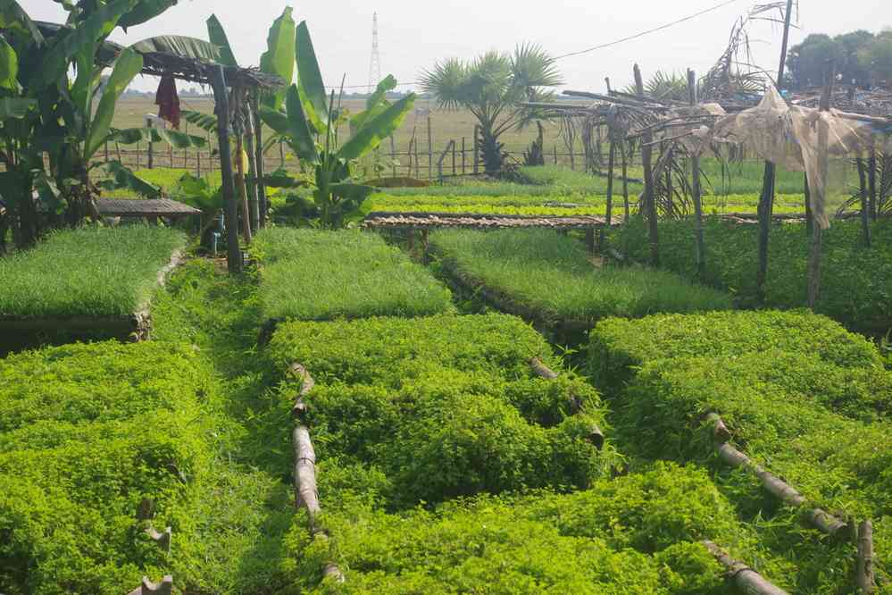 Balade vespérale autour de notre gîte. Jardin privé, le 25 janvier 2023