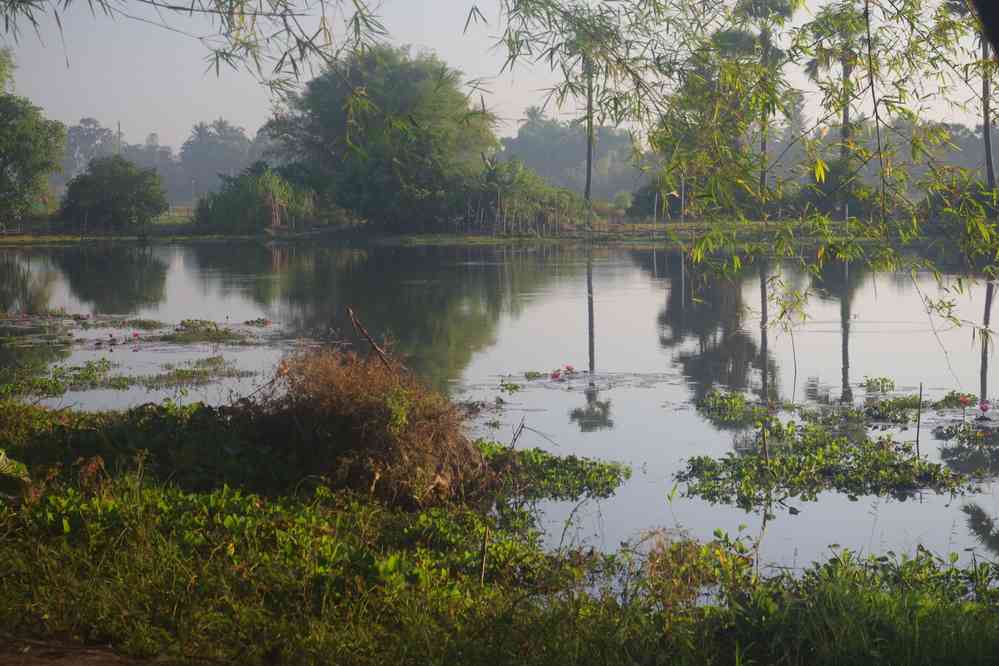 Près de notre gîte au petit matin, le 26 janvier 2023