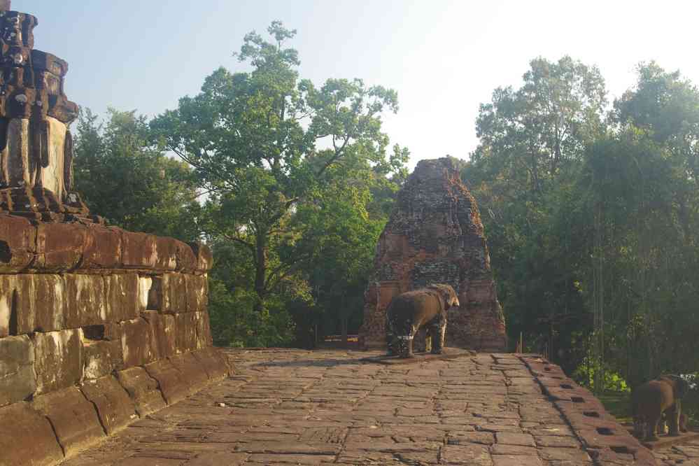Visite du temple de Bakong (ប្រាសាទ​បាគង), le 26 janvier 2023