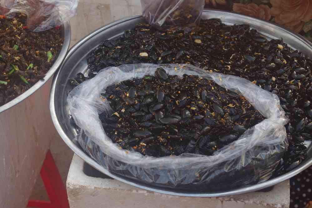 Insectes grillés à l’étalage. Marché à l’entrée de Siem Reap (ក្រុងសៀមរាប), le 27 janvier 2023
