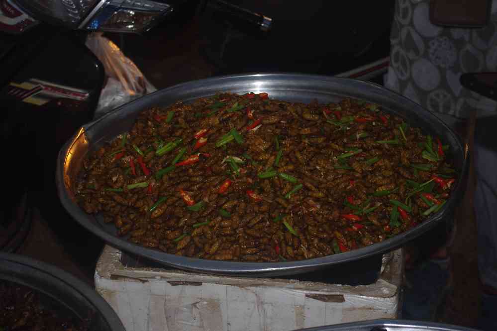 Insectes grillés à l’étalage. Marché à l’entrée de Siem Reap (ក្រុងសៀមរាប), le 27 janvier 2023
