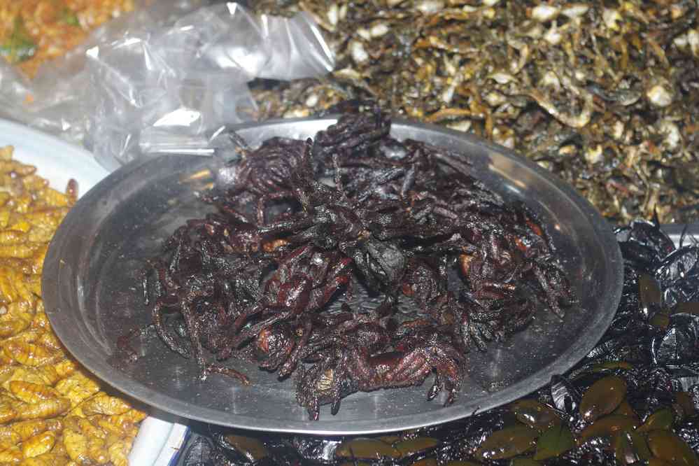 Mygales grillées à l’étalage. Marché à l’entrée de Siem Reap (ក្រុងសៀមរាប), le 27 janvier 2023