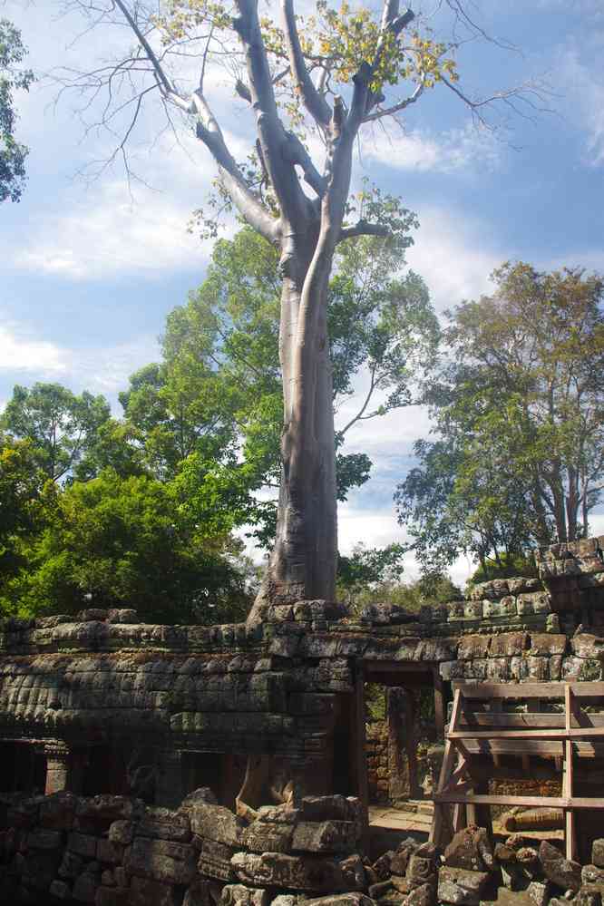 Visite du temple de Banteay Kdei (ប្រាសាទបន្ទាយក្តី), le 28 janvier 2023