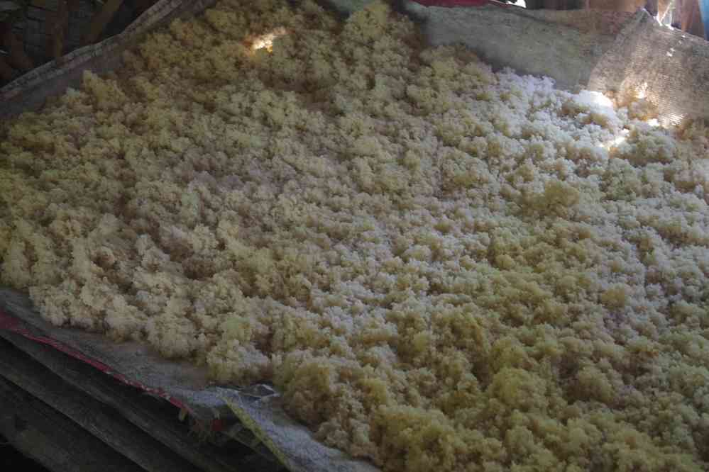 Longue halte dans le village de Preah Dak (ព្រះដាក់), pendant les heures chaudes. Ferme qui pratique la distillation d’alcool de riz, le 28 janvier 2023