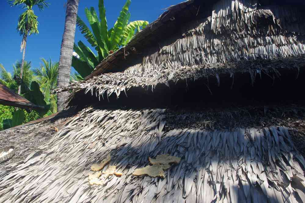 Longue halte dans le village de Preah Dak (ព្រះដាក់), pendant les heures chaudes. Ferme qui pratique la distillation d’alcool de riz, le 28 janvier 2023