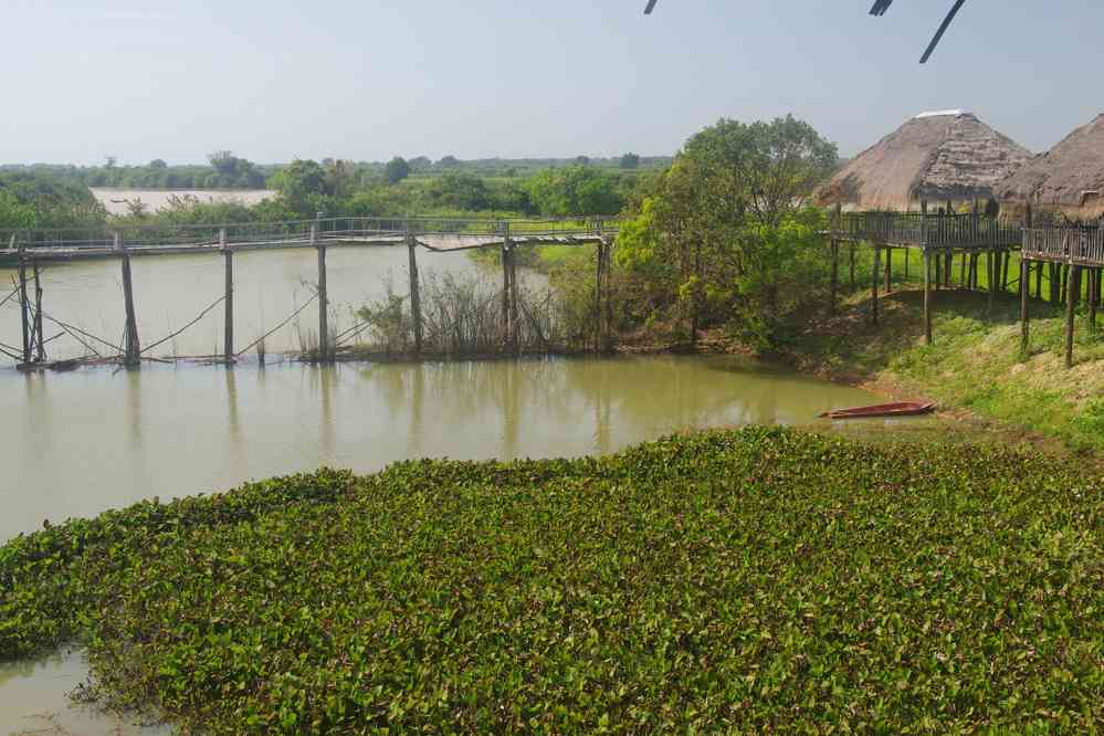 Route entre Siem Reap (ក្រុងសៀមរាប) et Phnom Penh (ភ្នំពេញ), le 29 janvier 2023. Cliché pris pendant la pause méridienne