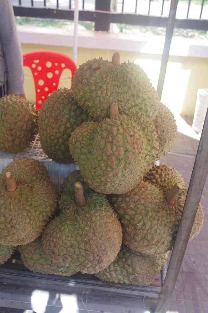 Étal de durians à Kampot (ក្រុងកំពត), le 31 janvier 2023