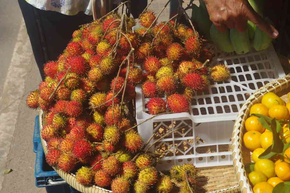 Étal à Kampot (ក្រុងកំពត), le 31 janvier 2023