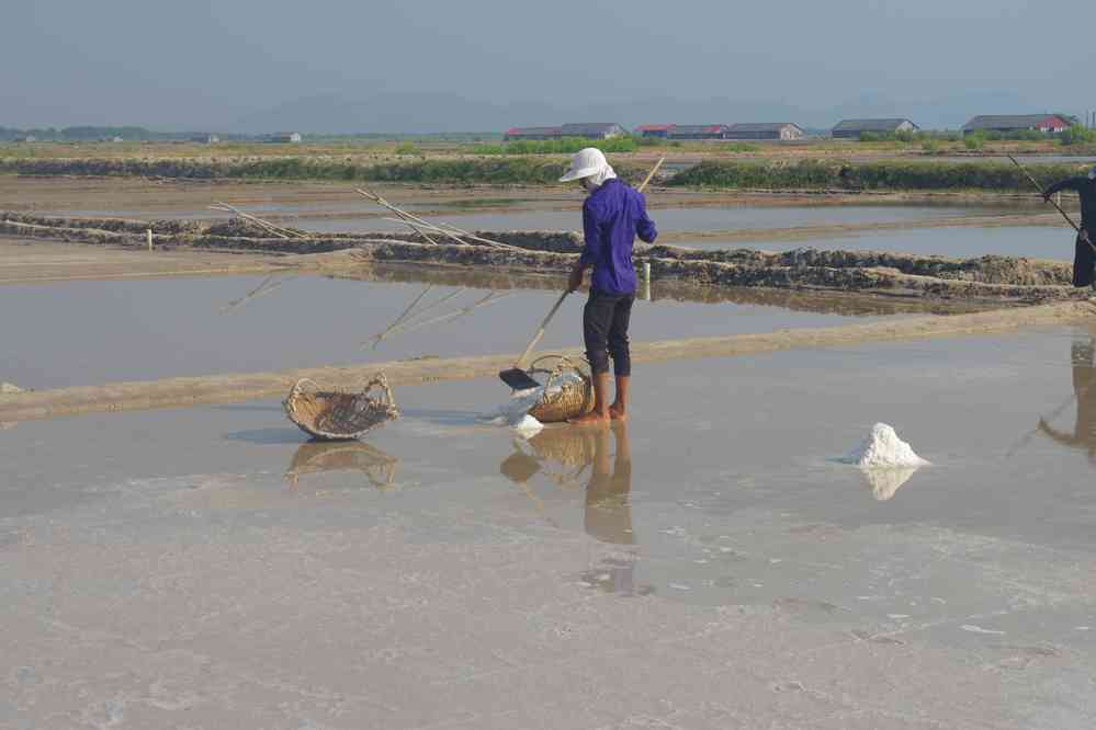 Visite des salines de Kampot (ក្រុងកំពត), le 31 janvier 2023