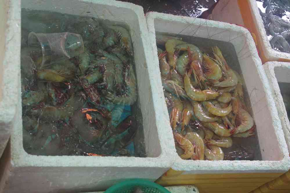 Fruits de mer au marché de Kep (ឆ្នេរកែប), le 1ᵉʳ février 2023