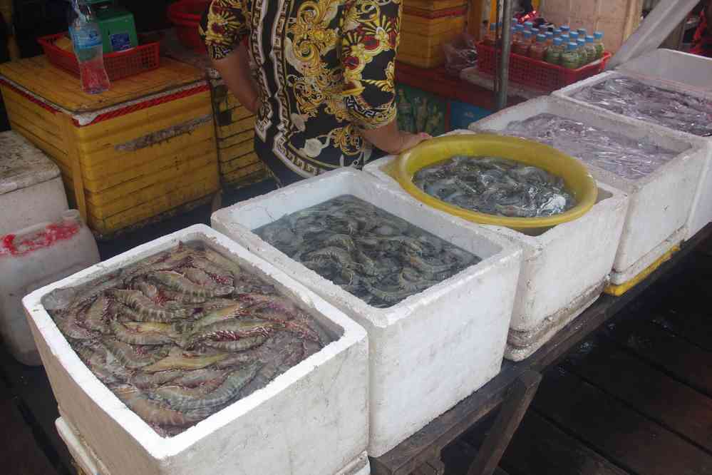 Fruits de mer au marché de Kep (ឆ្នេរកែប), le 1ᵉʳ février 2023