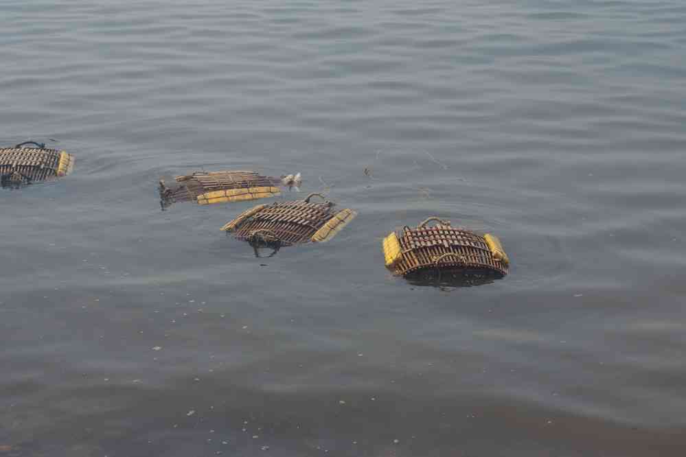 Paniers de crabe en attente d’une vente au marché de Kep (ឆ្នេរកែប), le 1ᵉʳ février 2023