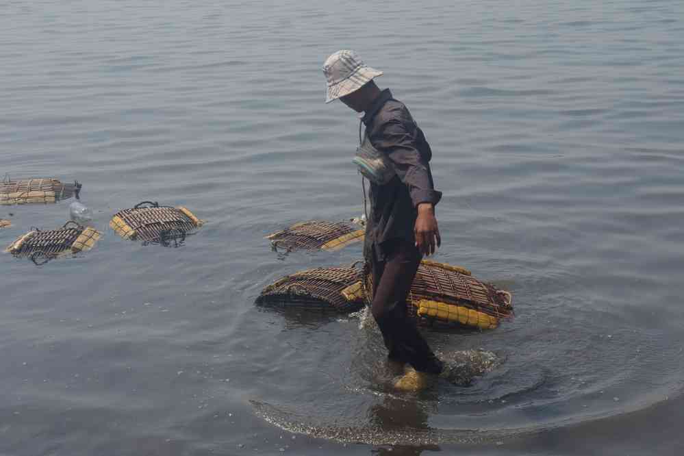 Paniers de crabe en attente d’une vente au marché de Kep (ឆ្នេរកែប), le 1ᵉʳ février 2023