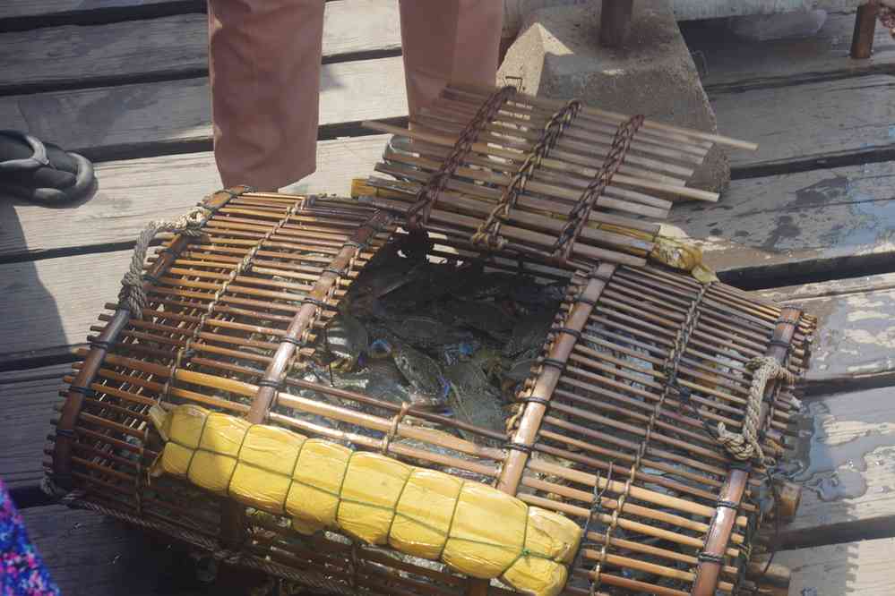 Paniers de crabe en attente d’une vente au marché de Kep (ឆ្នេរកែប), le 1ᵉʳ février 2023